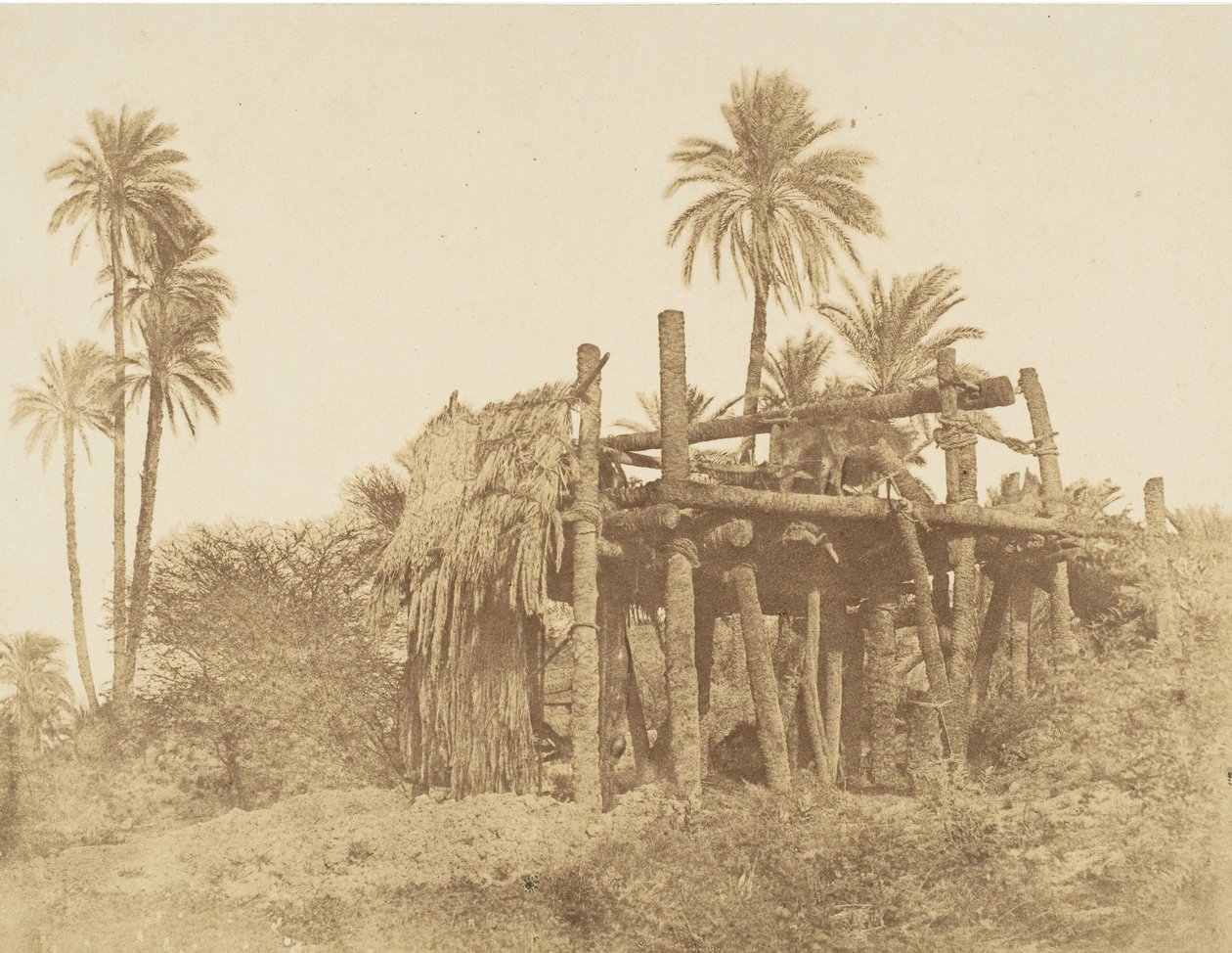 Sakkieh nubiano, o ruota idraulica, ca. 1856 da Robert Murray.