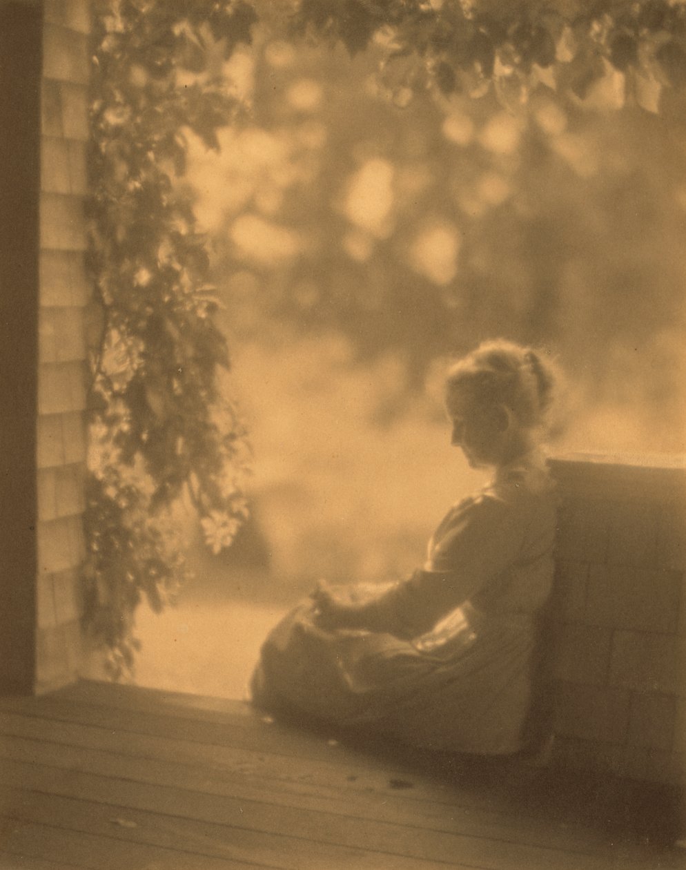 Sole di settembre da Robert Peckham