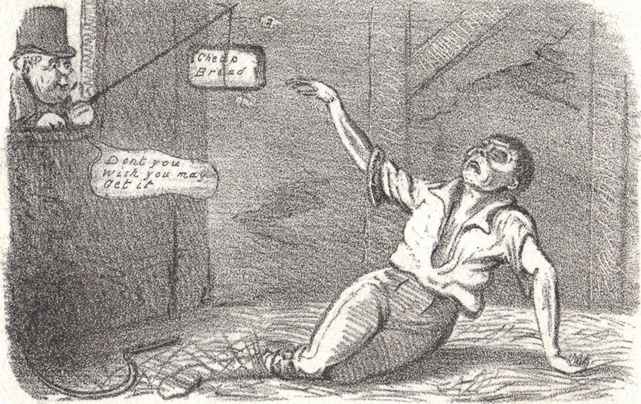 Le leggi sul grano furono introdotte nel 1815 per proteggere l