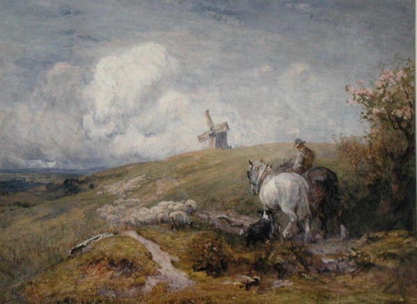 Guidare le pecore sui South Downs da Robert Thorne Waite