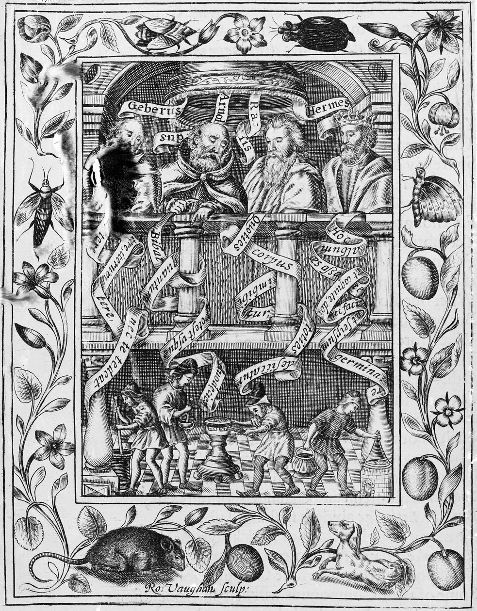 Grandi alchimisti ispirano il lavoro in laboratorio da Theatrum Chemicum Britannicum, 1652 da Robert Vaughan