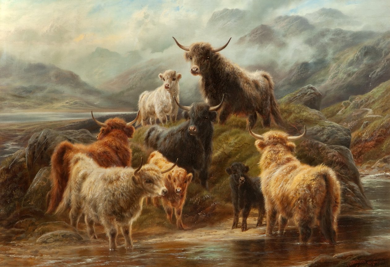 Bovini delle Highlands, 1894 da Robert Watson