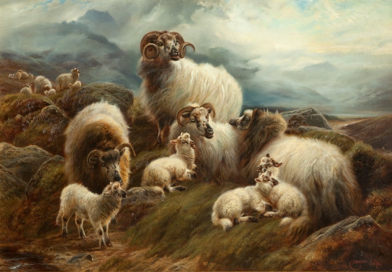 Pecore in un paesaggio da Robert Watson