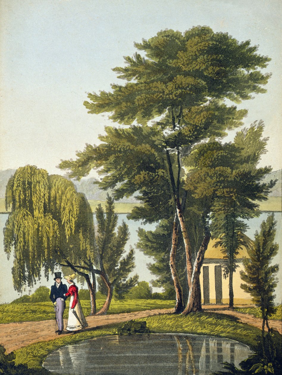 Clifton, da 