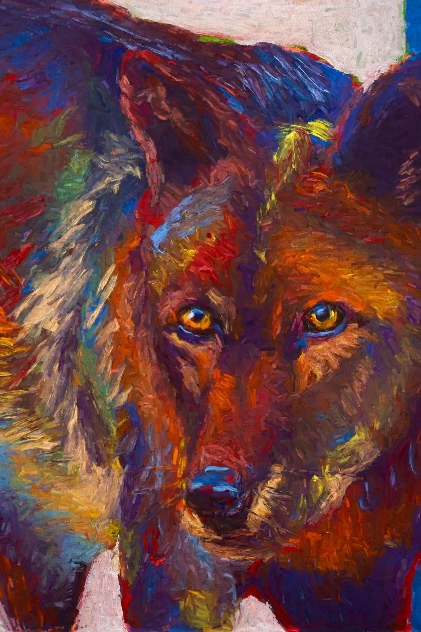 Sguardo fisso, 2019 da Roberta Murray