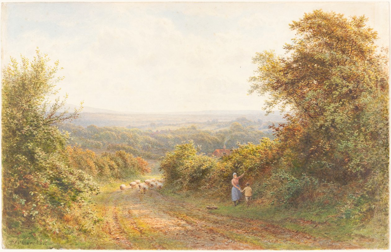 Squirrel Lane, vicino a Magham Down, Sussex da Roberto Angelo Kittermaster Marshall