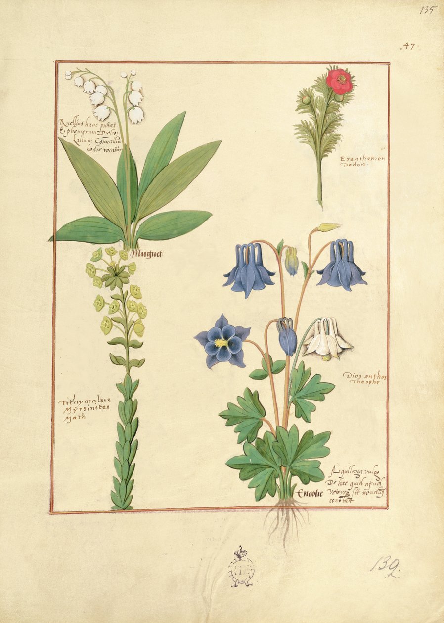 Illustrazione dal 