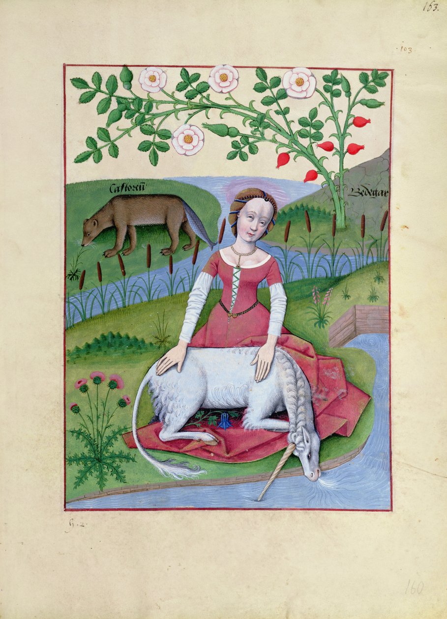 Illustrazione dal Libro delle Semplici Medicine di Mattheaus Platearius da Robinet Testard