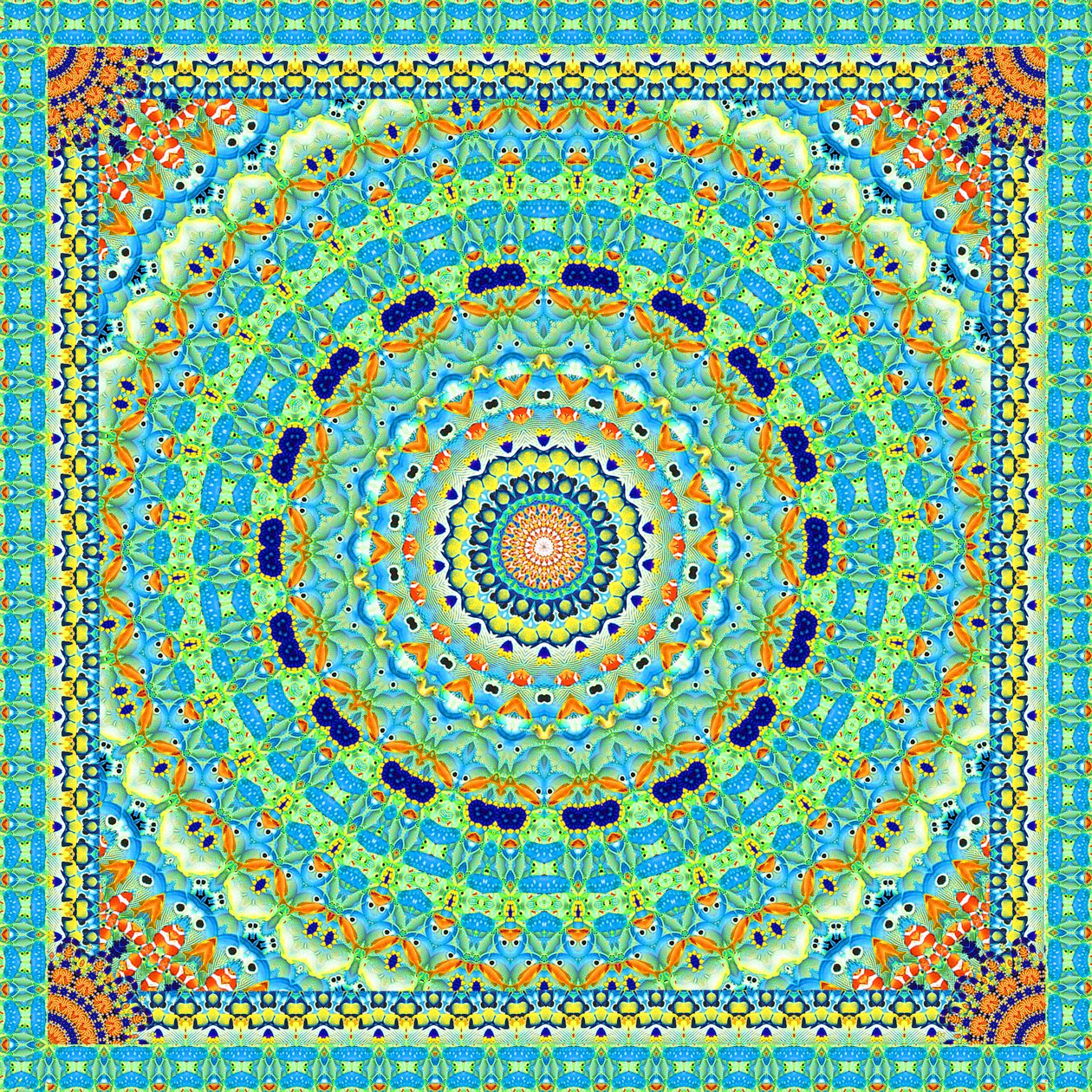 Piastrella della ruota dei pesci tropicali da Robyn Parker