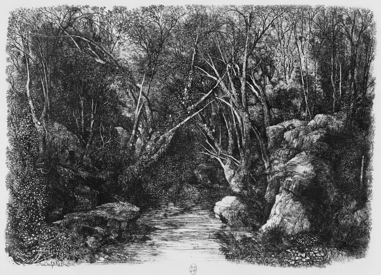 Il ruscello tra gli alberi, 1880 da Rodolphe Bresdin