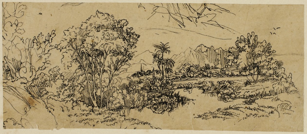 Paesaggio sulla costa occidentale da Rodolphe Bresdin