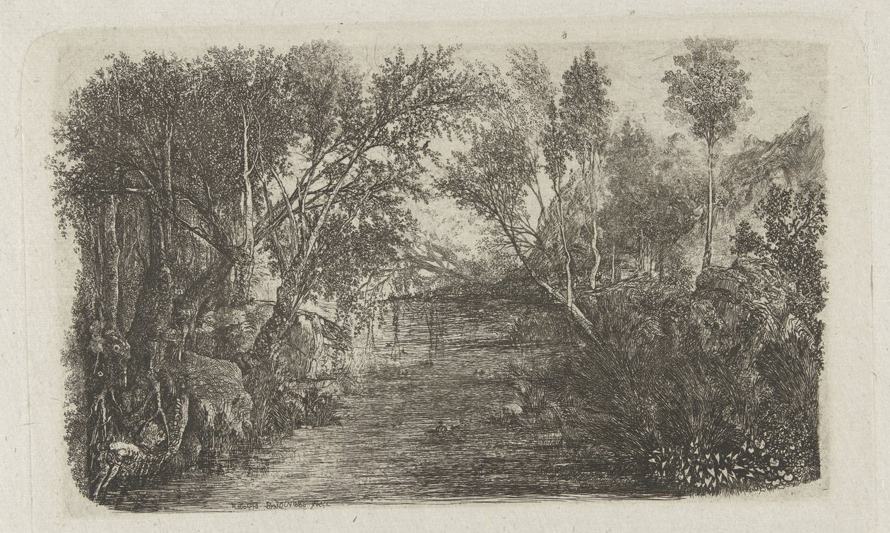 Paesaggio con ruscello e alberi sulle rive da Rodolphe Bresdin