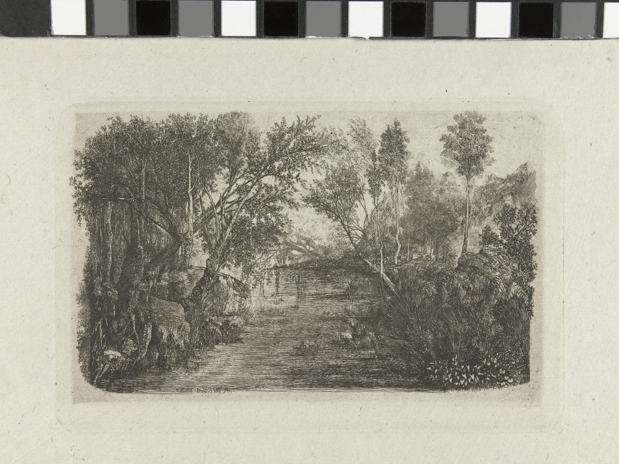 Paesaggio con ruscello e alberi sulle rive da Rodolphe Bresdin