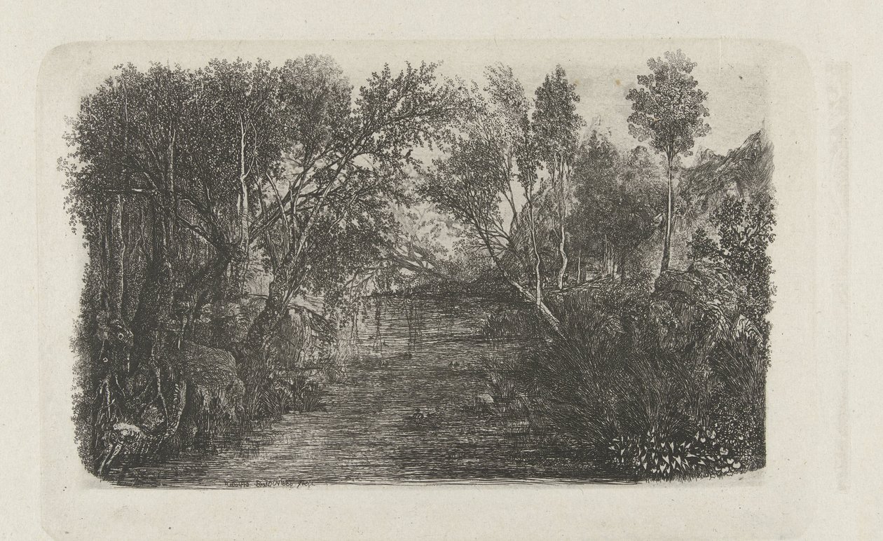 Paesaggio con ruscello e alberi sulle rive da Rodolphe Bresdin