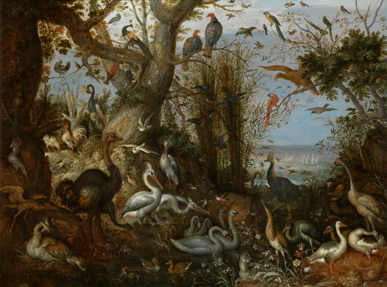 Pollame da Roelandt Jacobsz. Savery