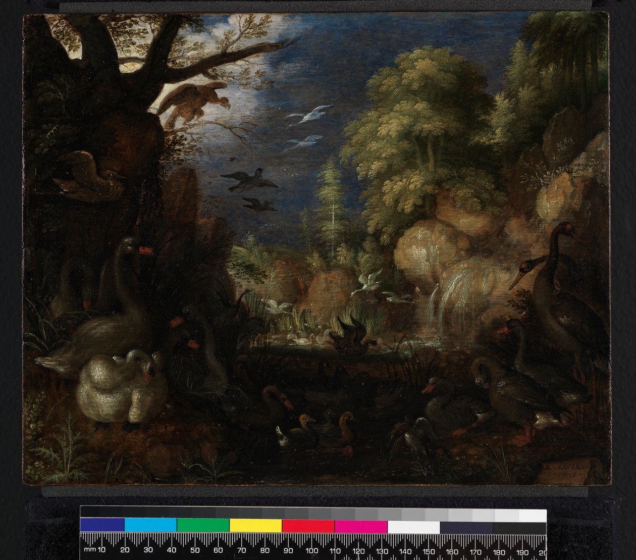La creazione degli uccelli da Roelandt Jacobsz. Savery