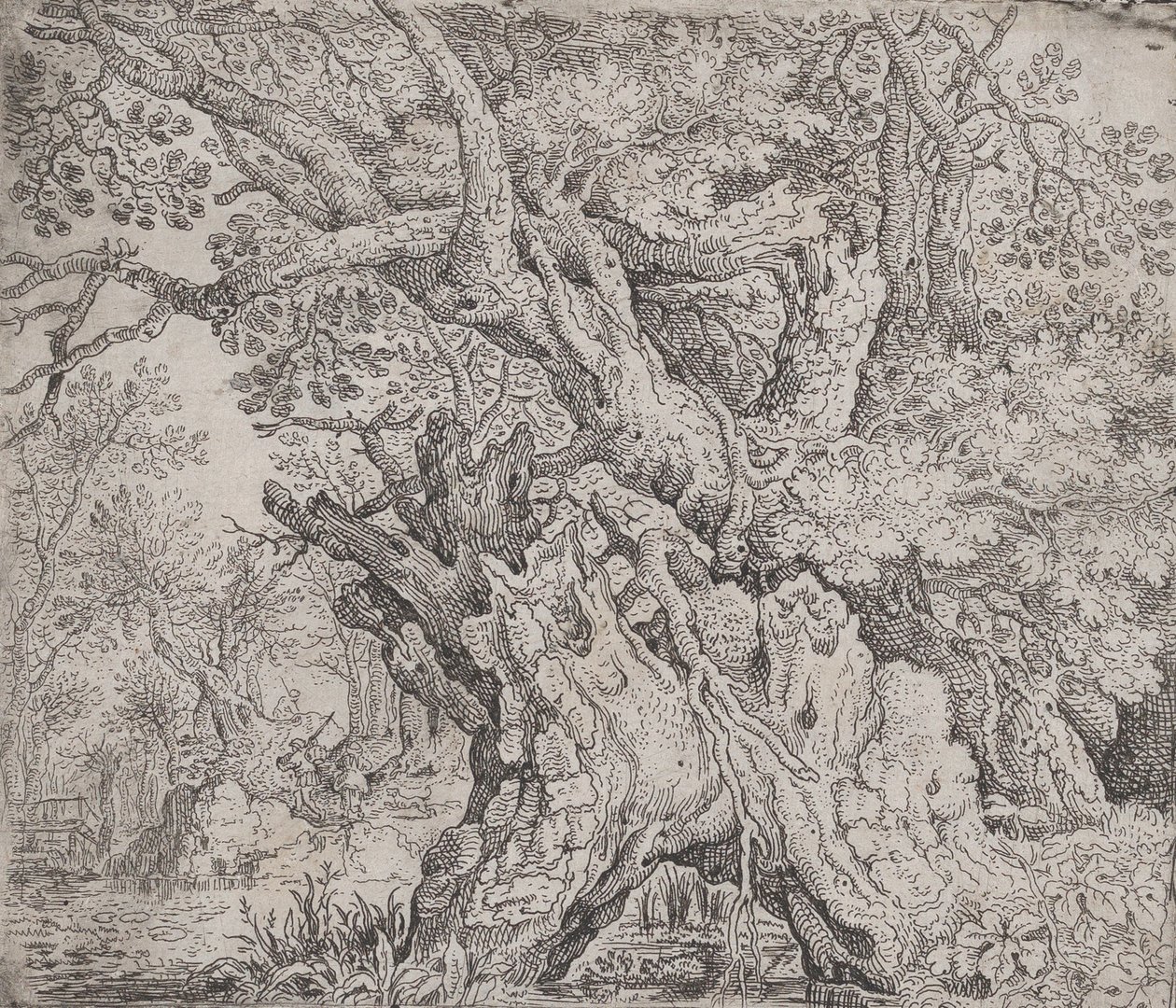 Albero nodoso, ca. 1608-09 da Roelandt Savery