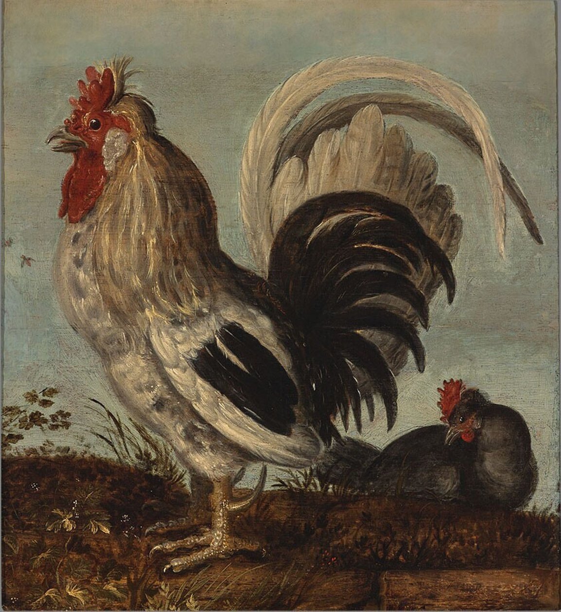 Un galletto da Roelandt Jacobsz. Savery