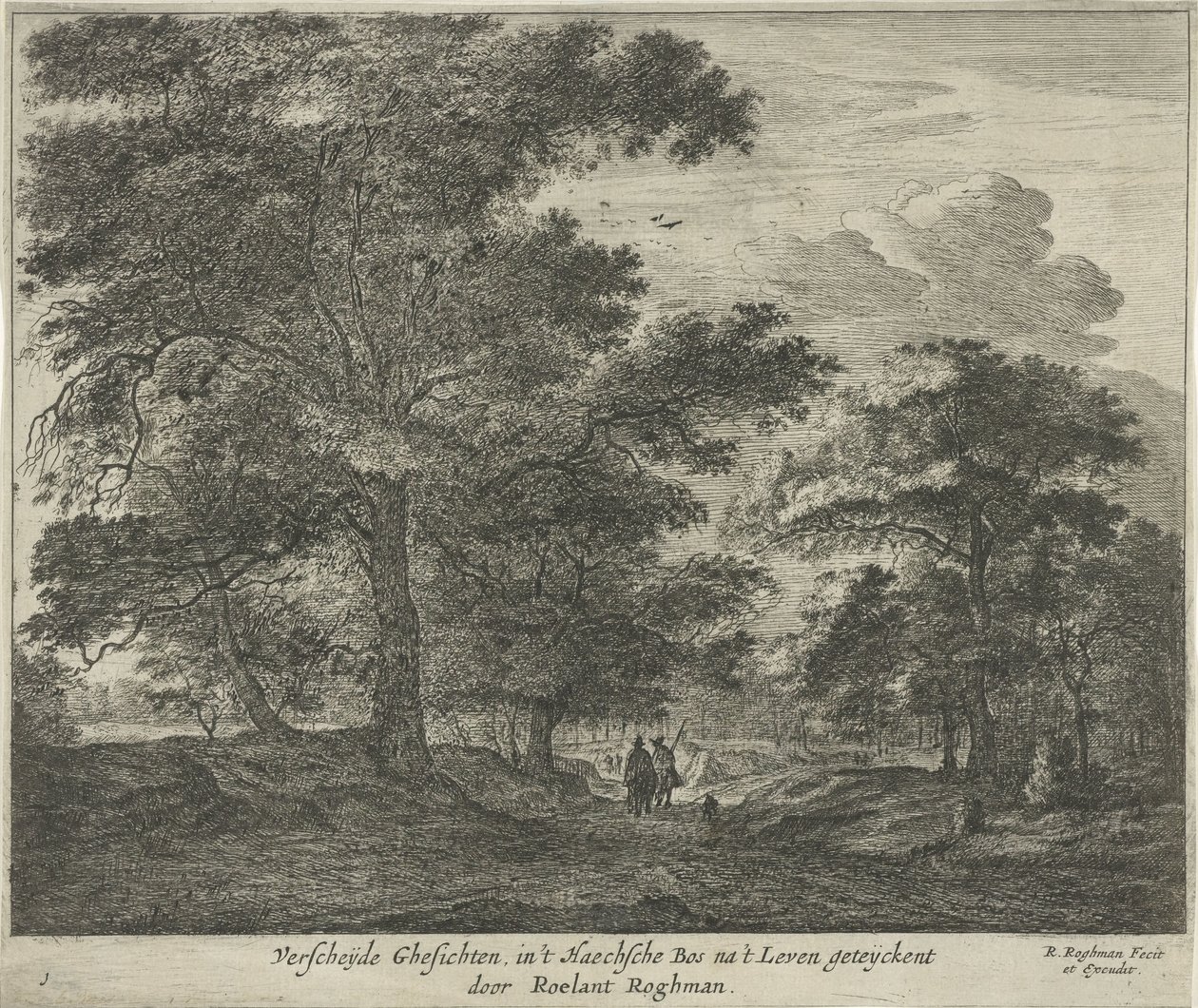 Sentiero nel bosco dell