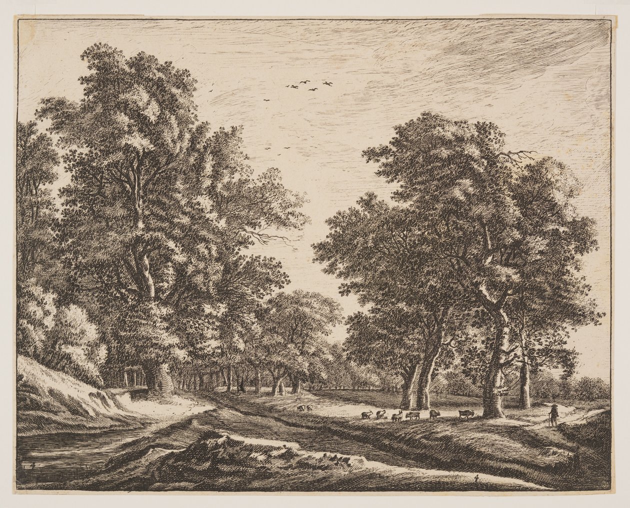 No. 4, da Sei vedute nel bosco dell