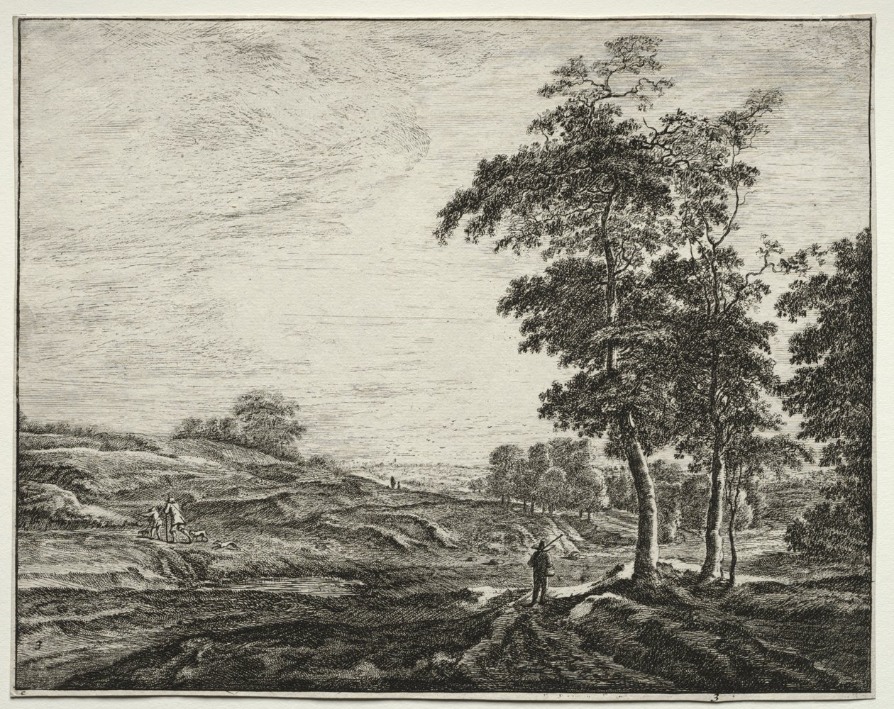Sei vedute nel bosco dell