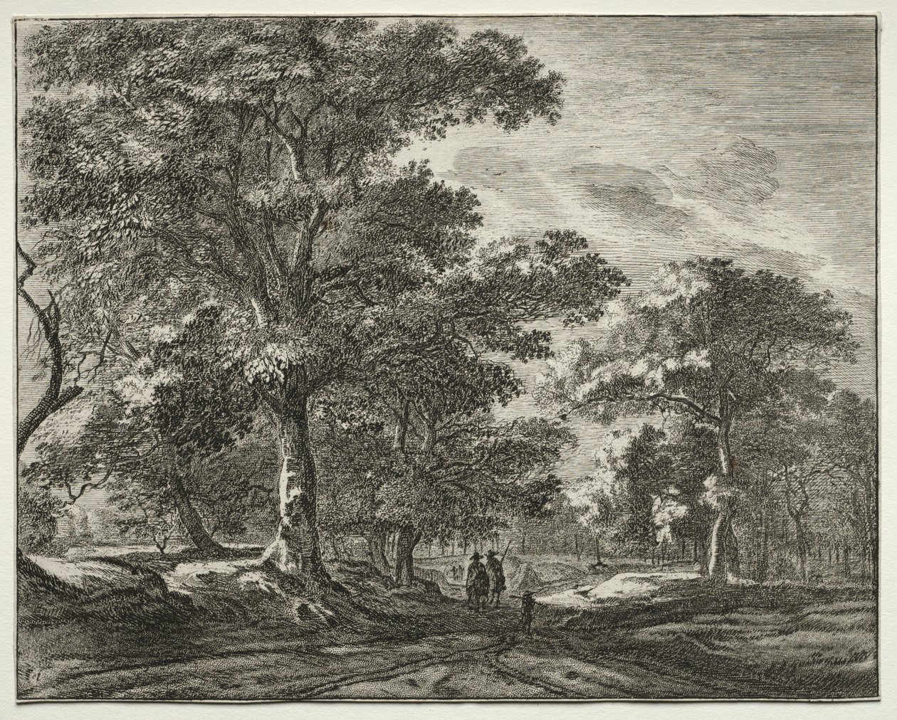 Sei vedute nel bosco dell