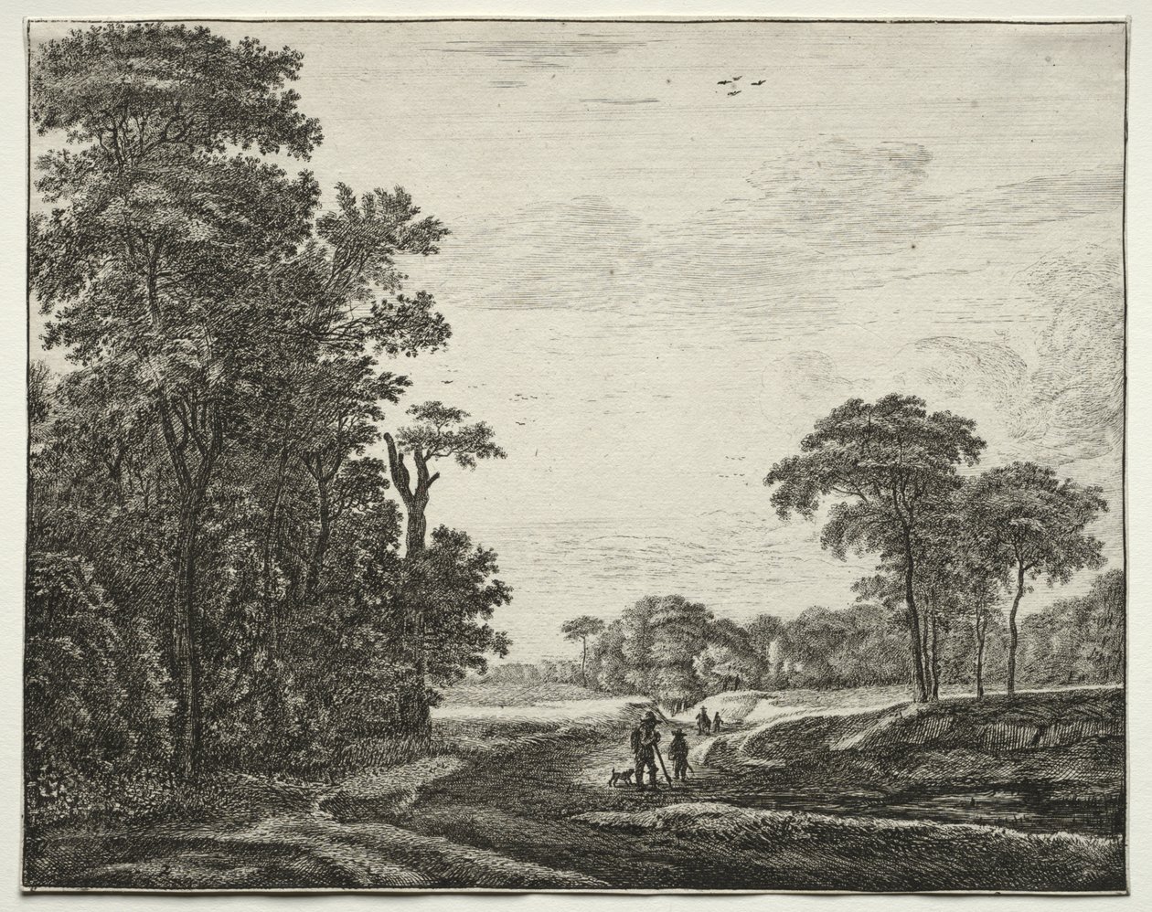 Sei vedute nel bosco dell