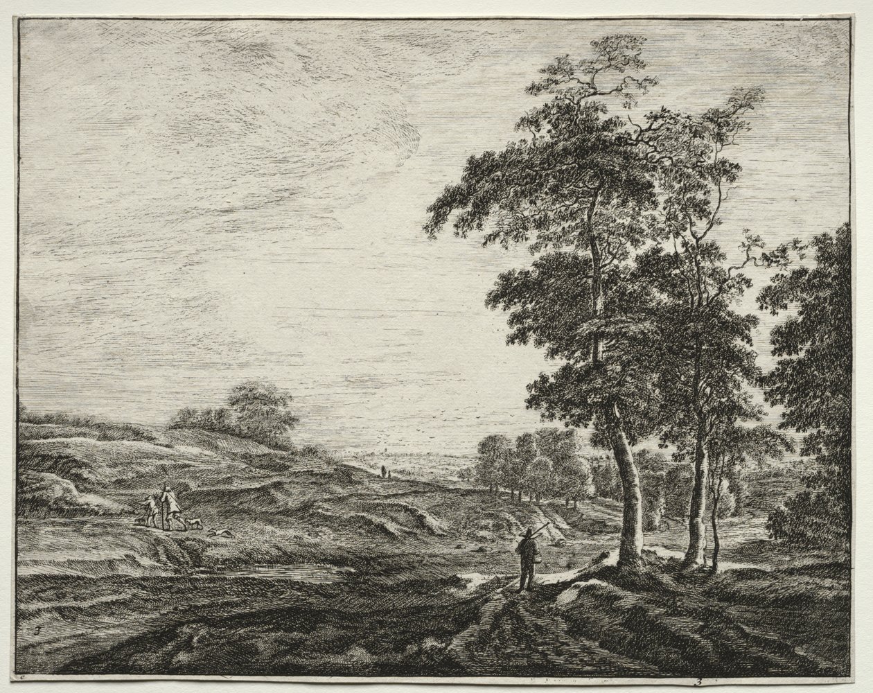 Sei vedute nel bosco dell