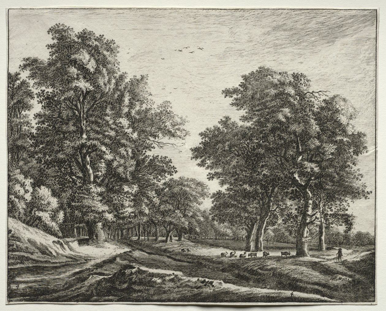 Sei vedute nel bosco dell