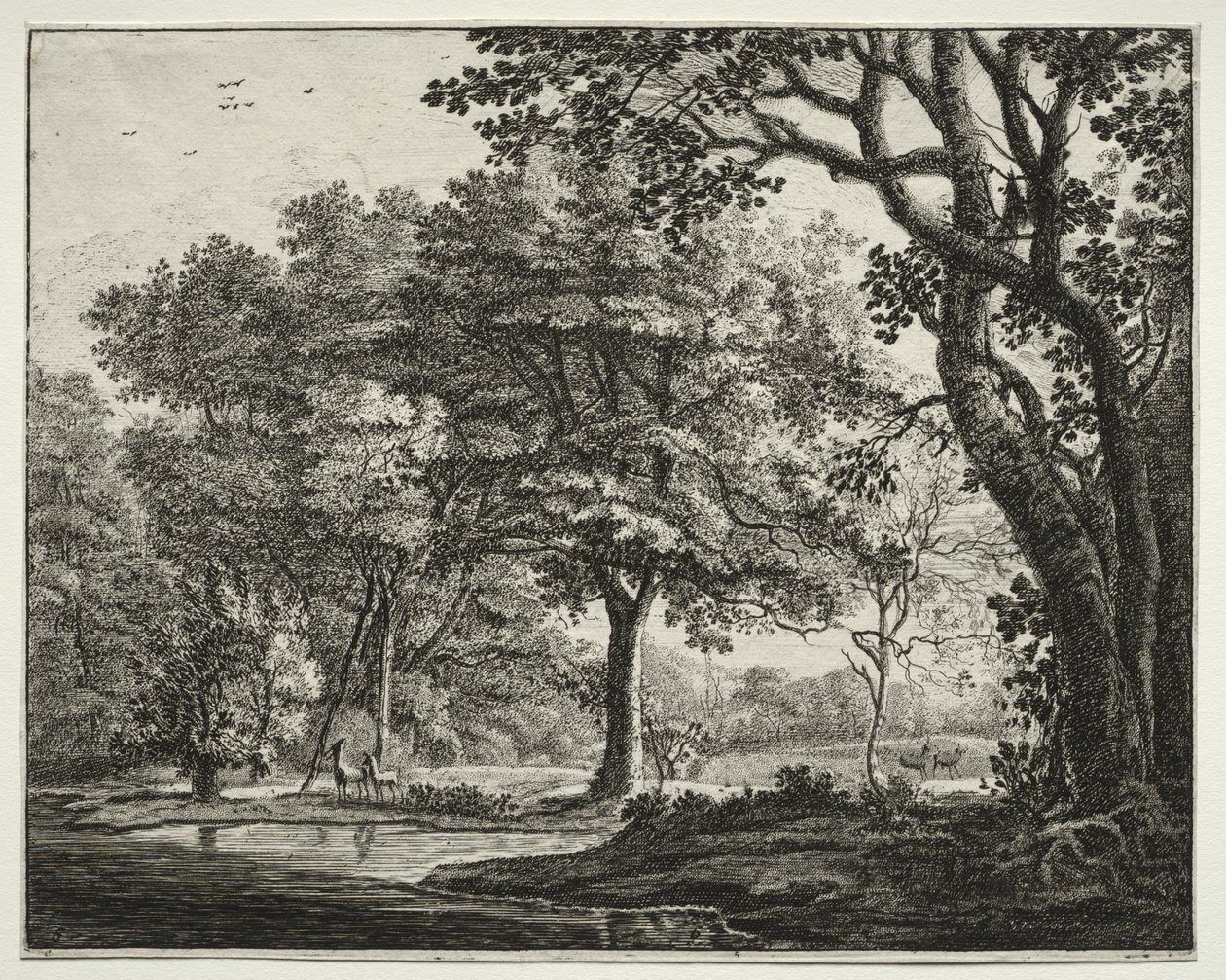 Sei vedute nel bosco dell