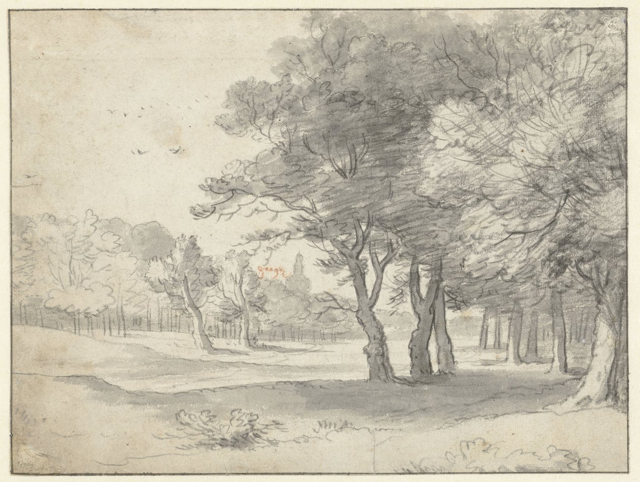 Veduta nel bosco dell