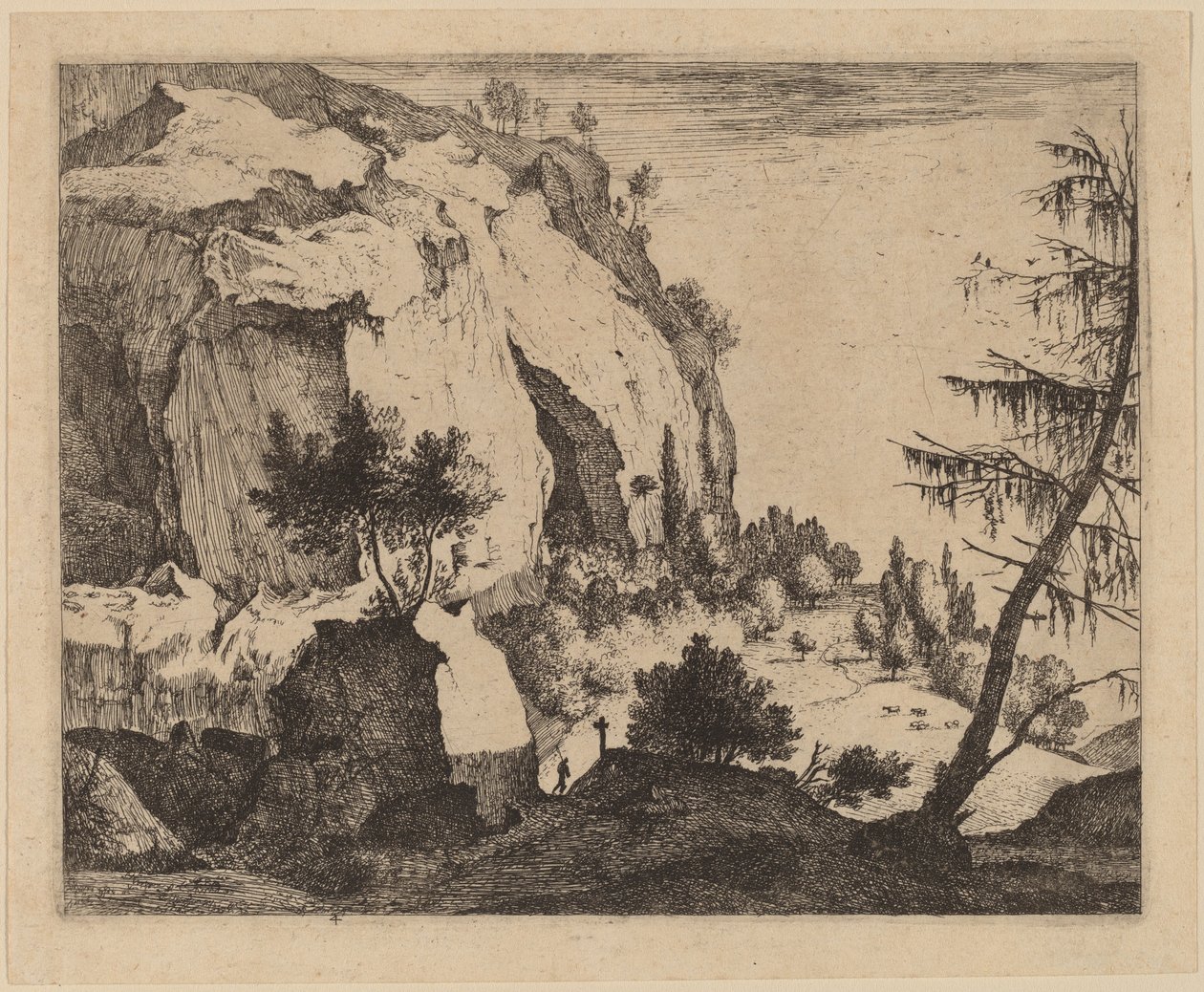 Paesaggio Roccioso con Abete: tav.4 da Roelant Roghman and Melchior Küsel
