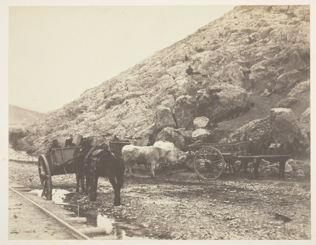 Bovini e carri che lasciano Balaklava da Roger Fenton