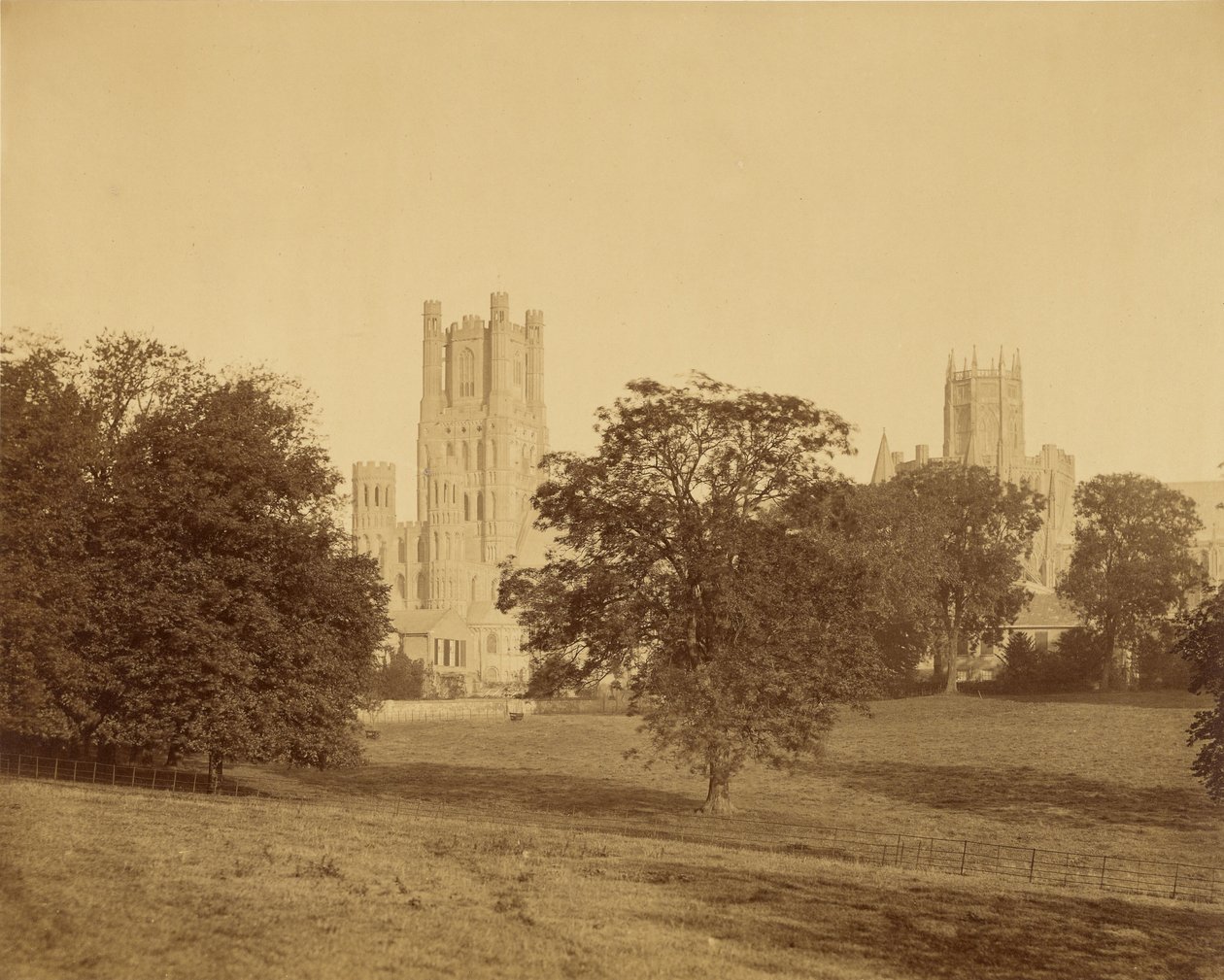 Cattedrale di Ely dal parco da Roger Fenton