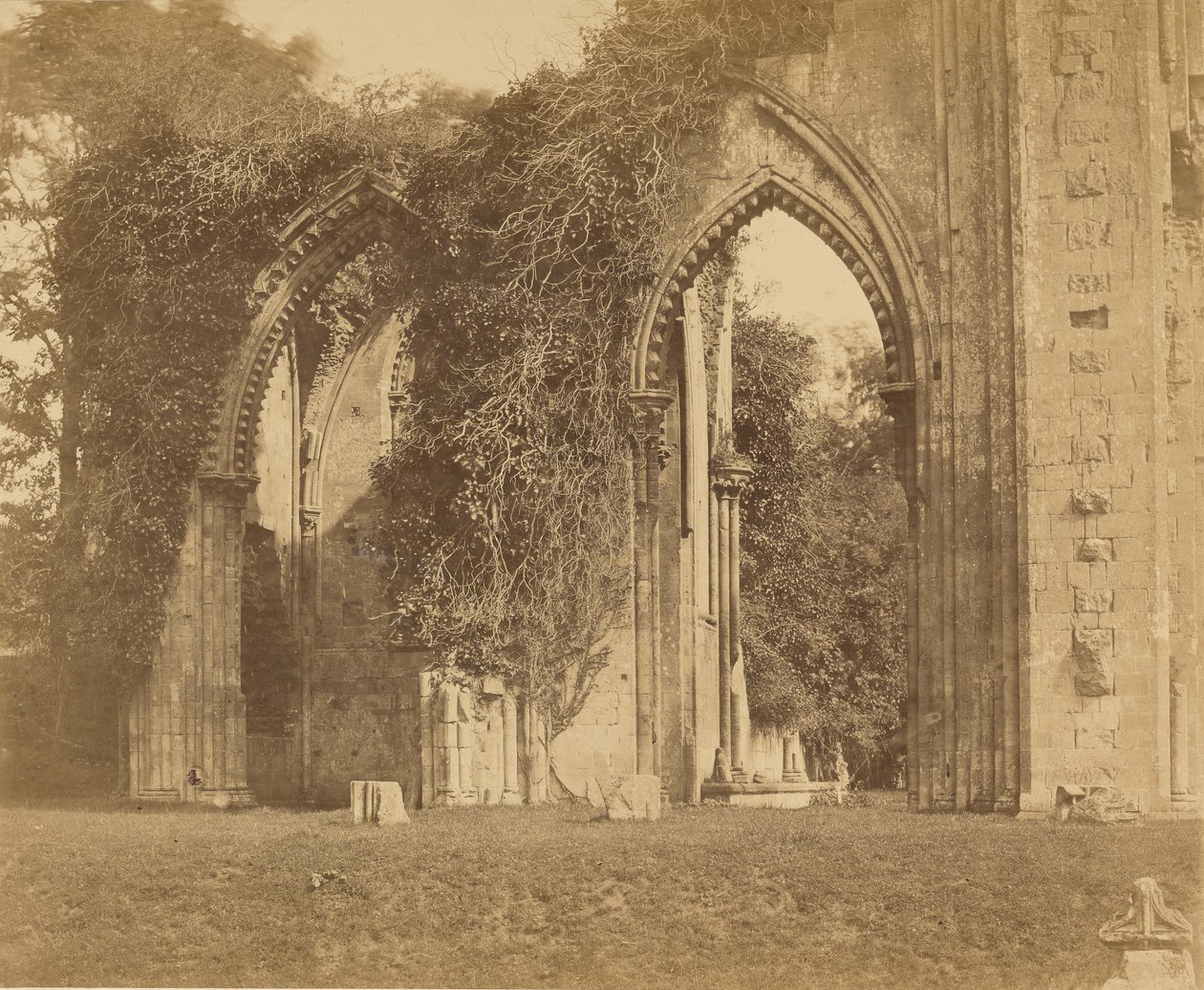 Abbazia di Glastonbury, archi della navata laterale nord da Roger Fenton