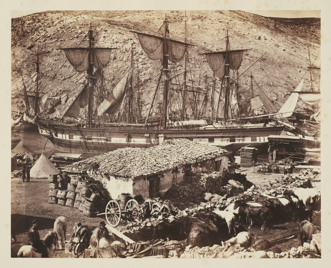 Porto di Balaklava, il molo del bestiame da Roger Fenton