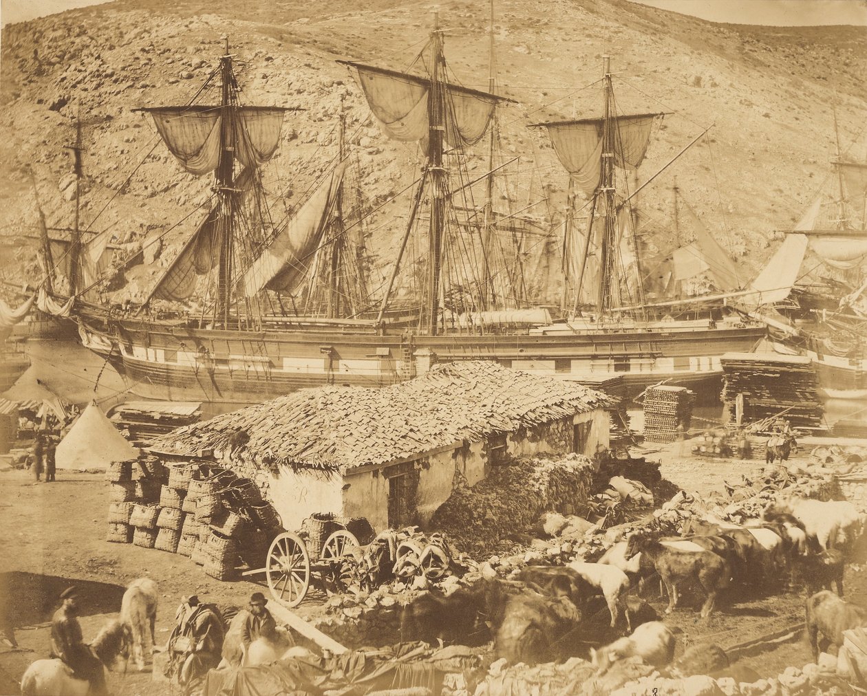 Porto di Balaklava, il molo per il bestiame da Roger Fenton