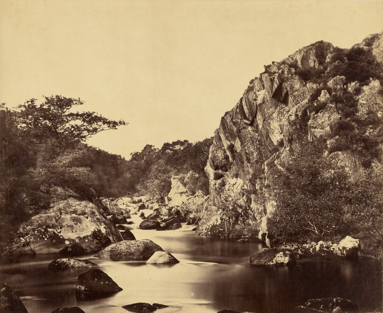Stagno degli aironi sul Lledr da Roger Fenton