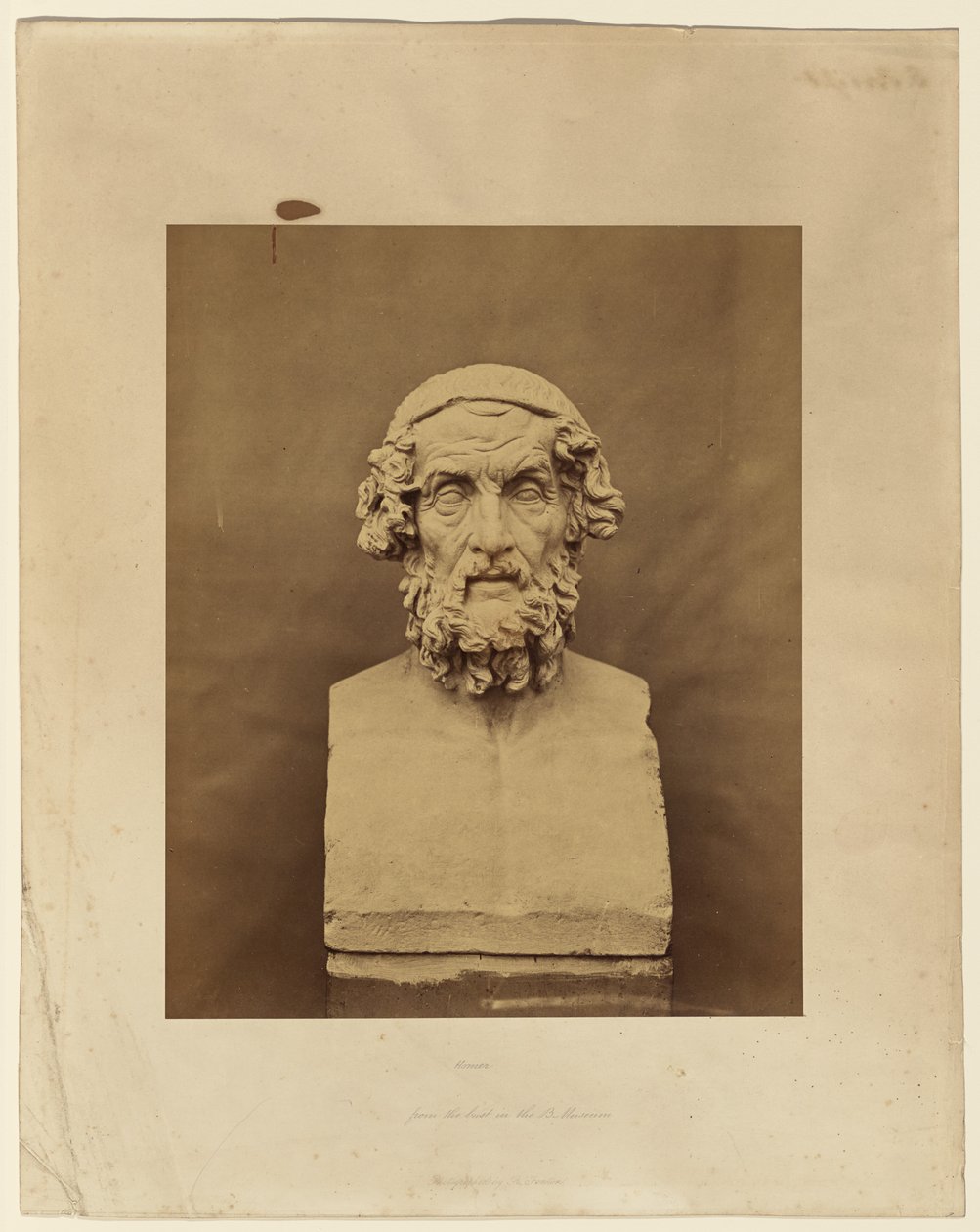 Omero, dal busto del British Museum da Roger Fenton