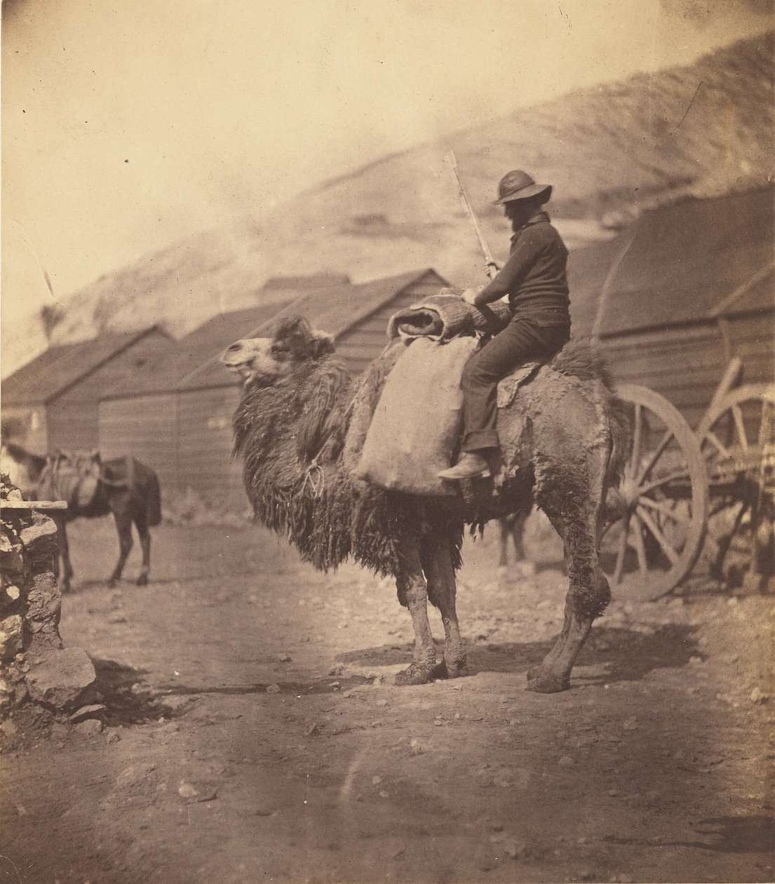 [Uomo a cavallo di un cammello] da Roger Fenton