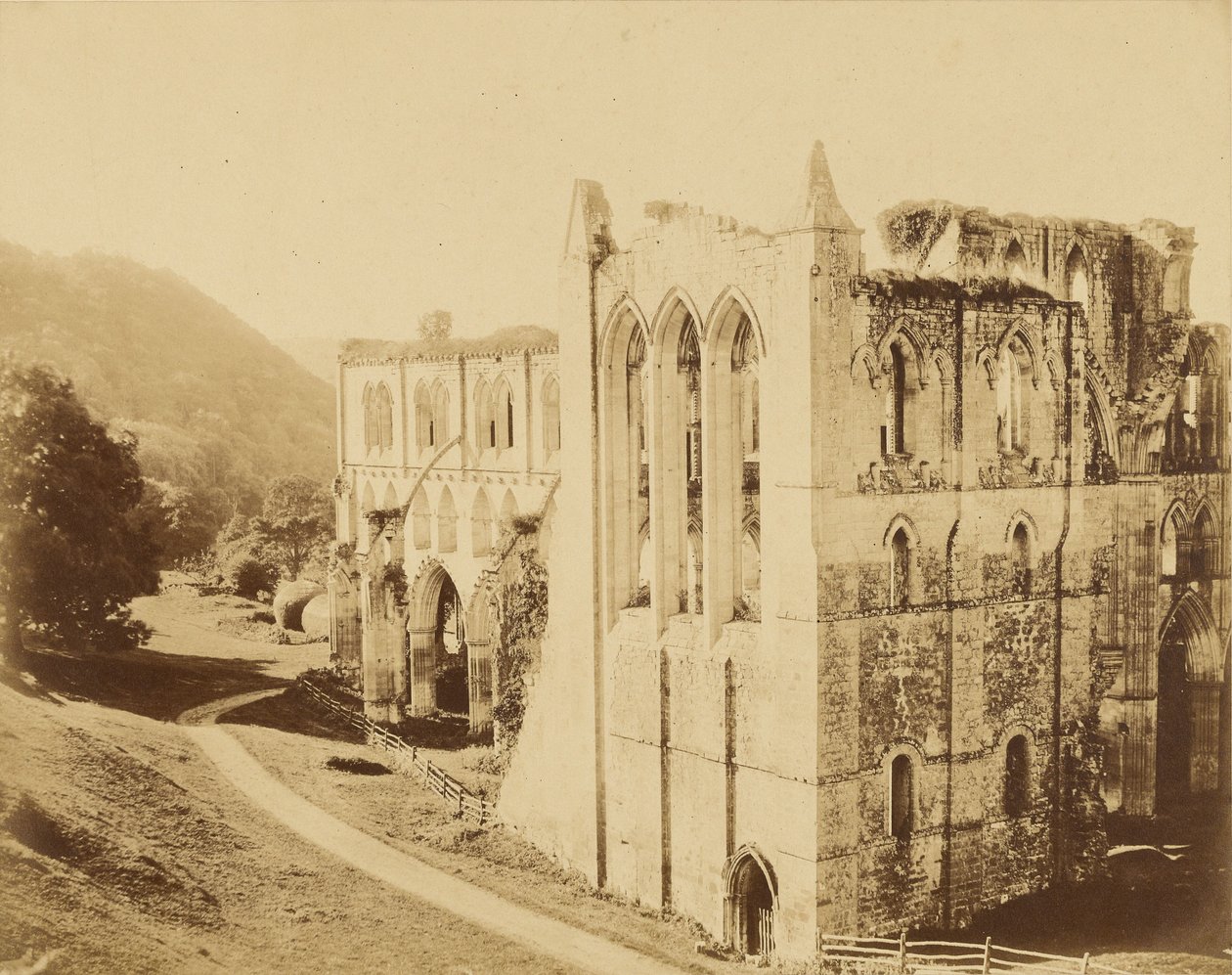 Abbazia di Rievaulx da Roger Fenton