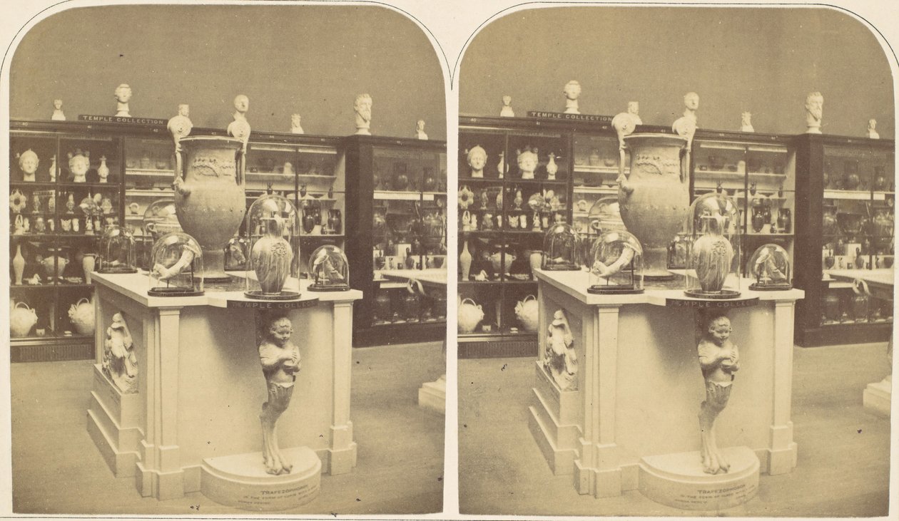 La Collezione di Antichità del Tempio, 1850 da Roger Fenton