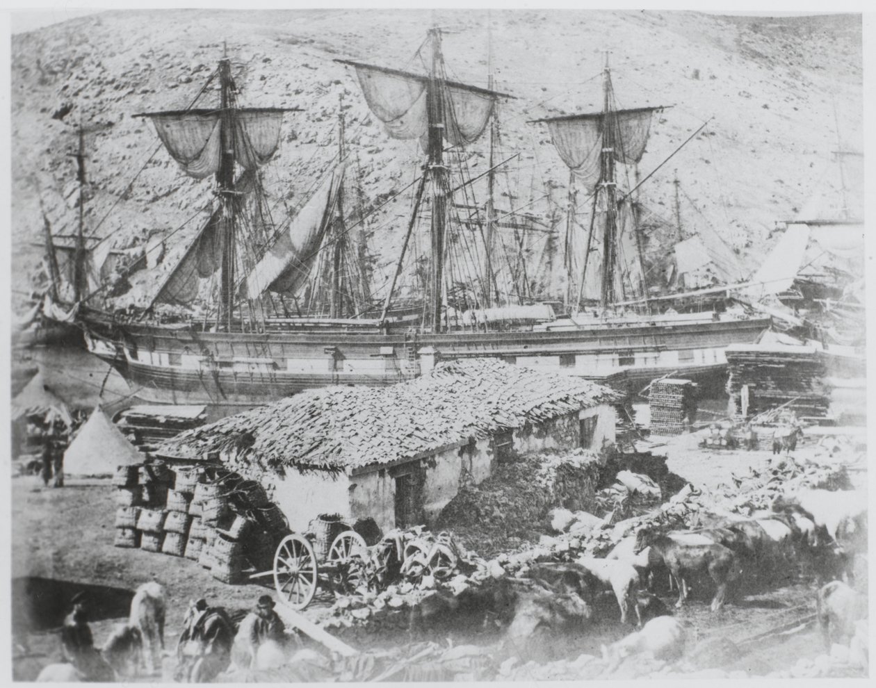 Il molo del bestiame nel porto di Balaklava da Roger Fenton