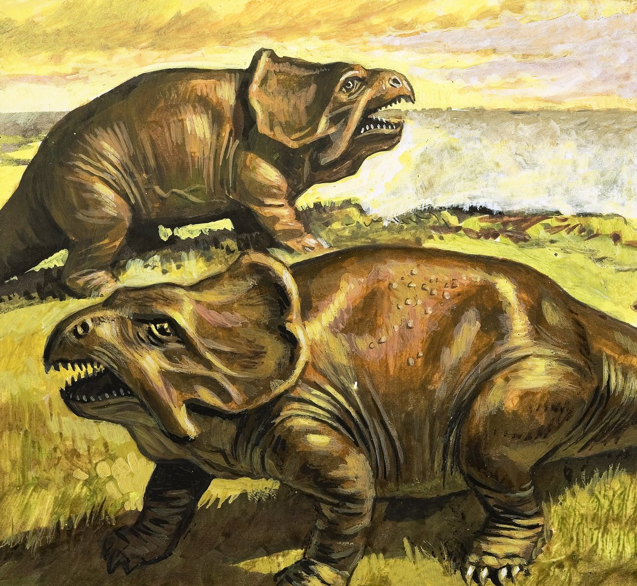 Protoceratopo, illustrazione da "Ai tempi dei dinosauri, scoperta nel deserto". da Roger Payne