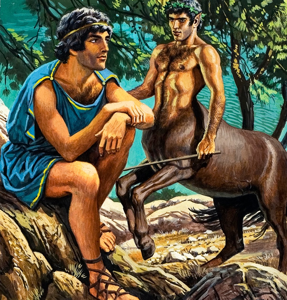 La storia del vello d