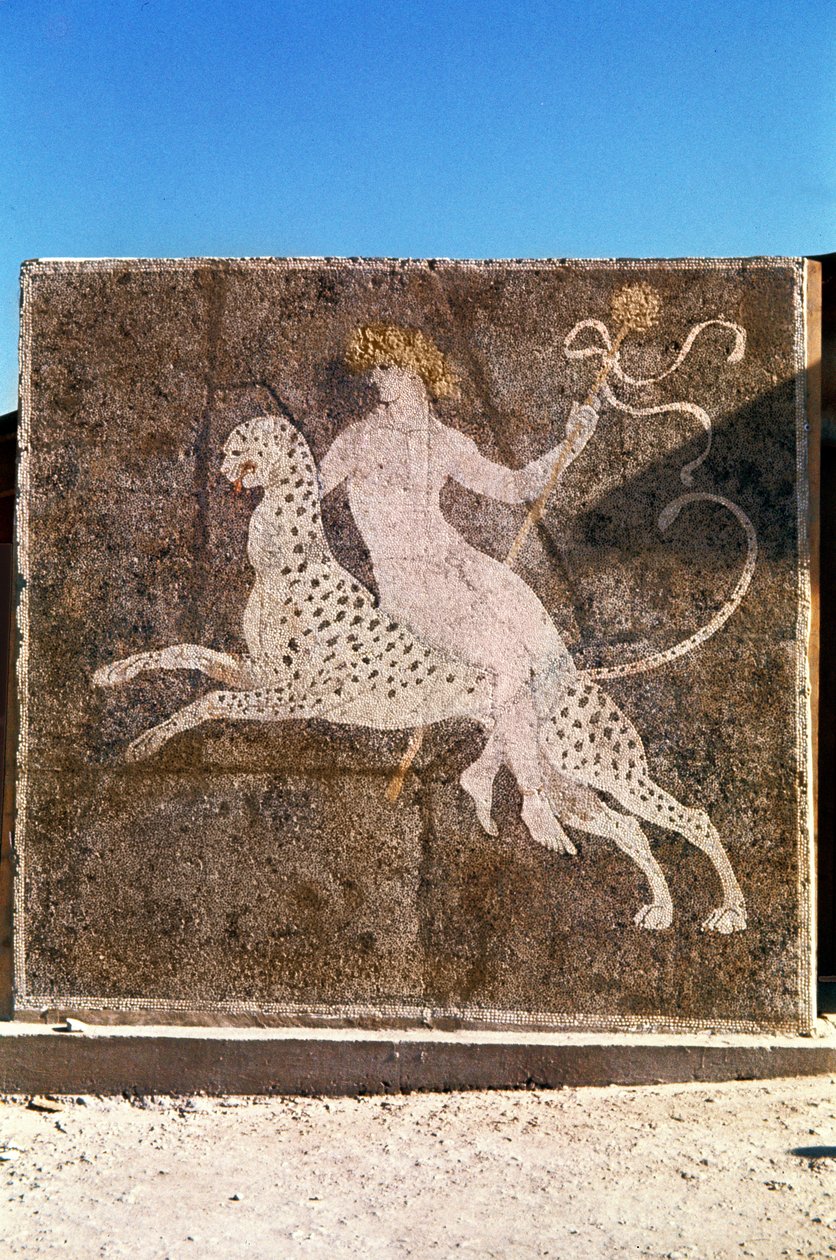 Bacco che cavalca un leopardo, I-II secolo d.C. (mosaico) da Roman