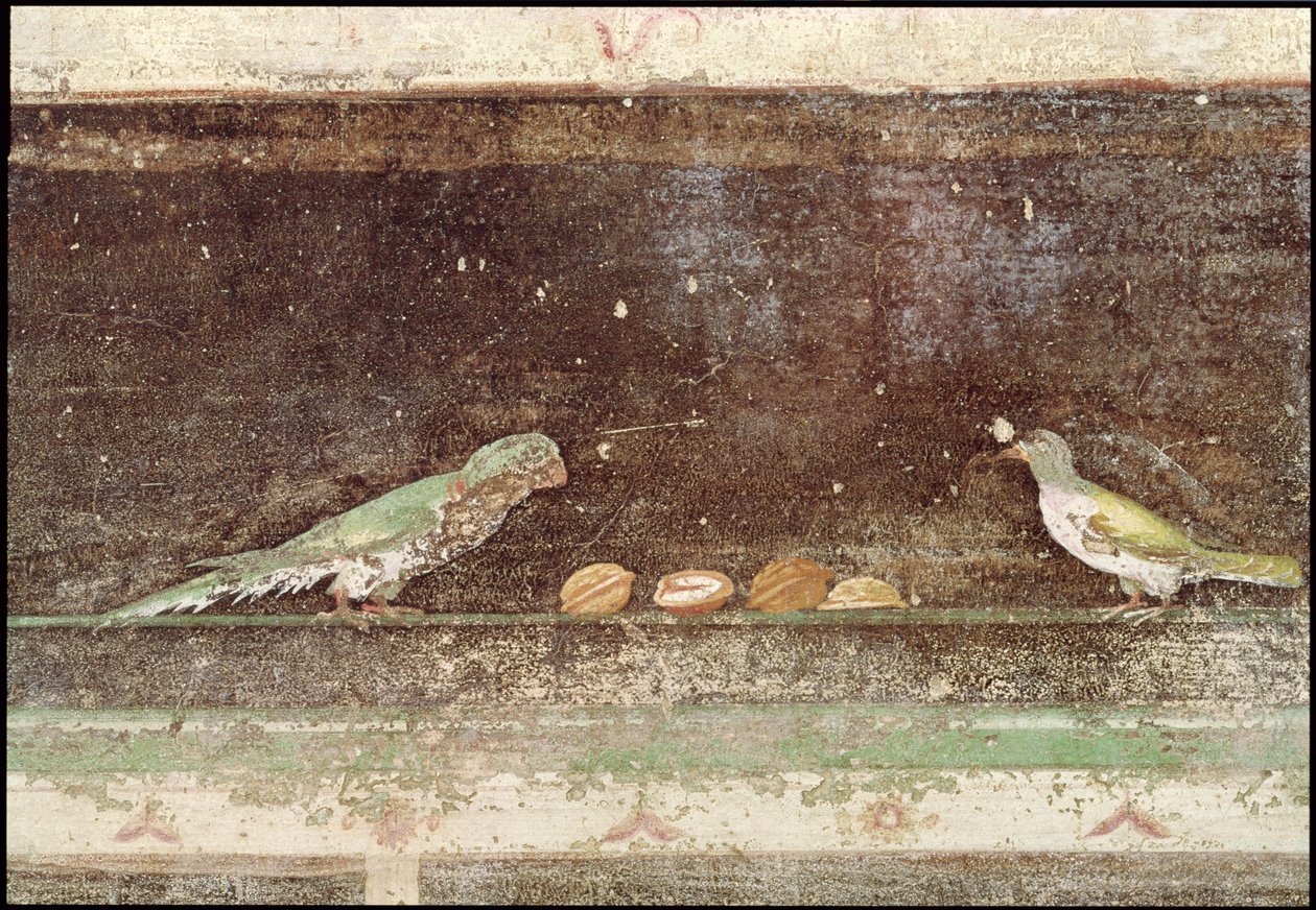 Uccelli che mangiano noci (dettaglio) da Roman