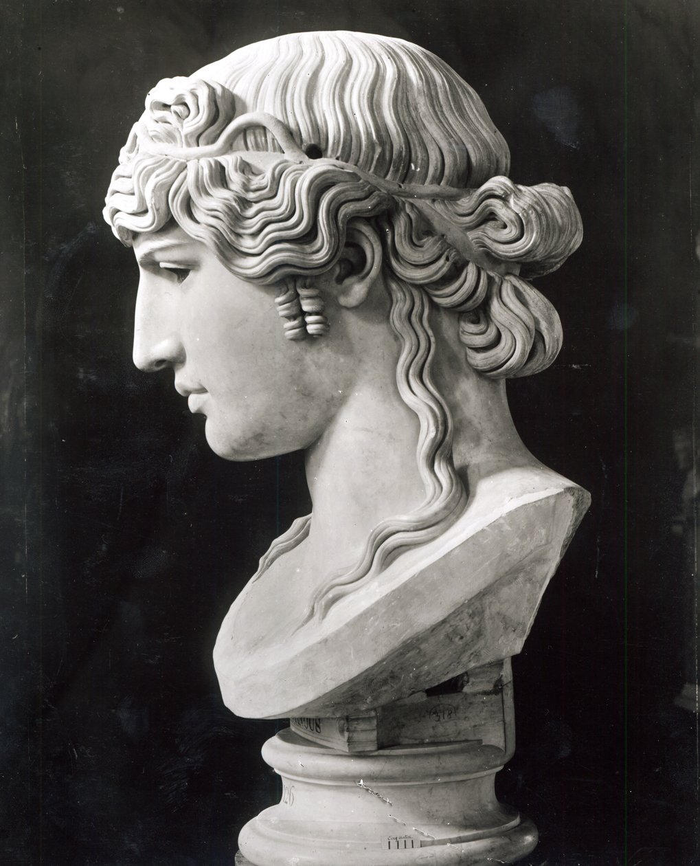 Busto di Antinoo (c.110-30) chiamato 