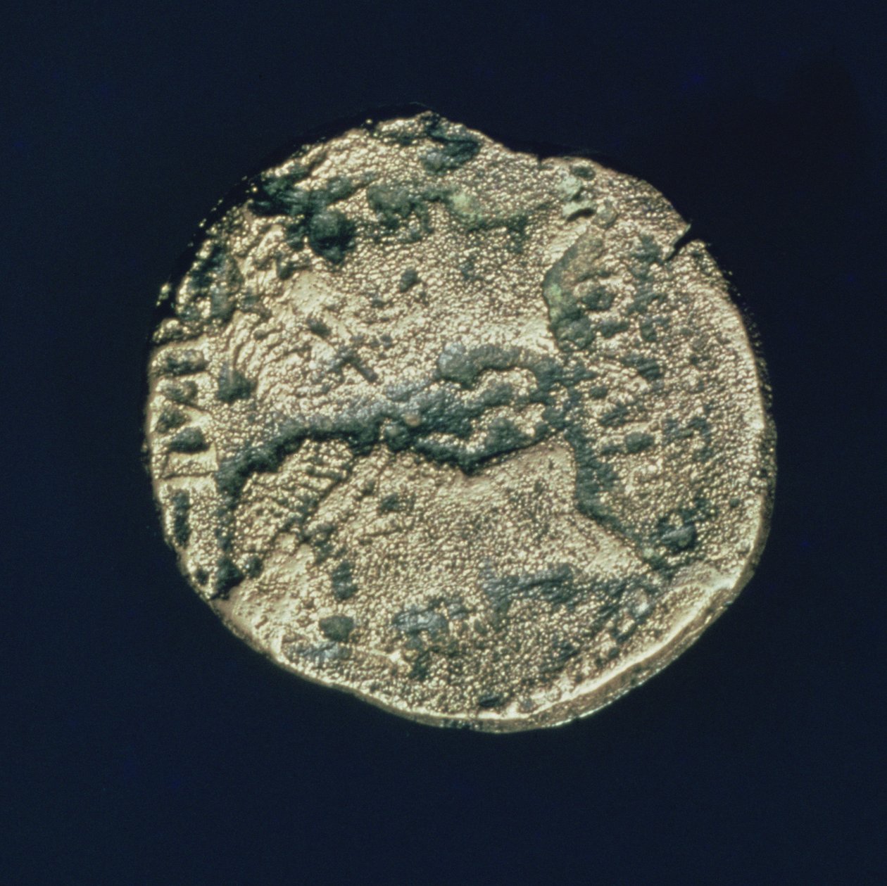 Moneta con teste di Giulio Cesare e Augusto da Roman