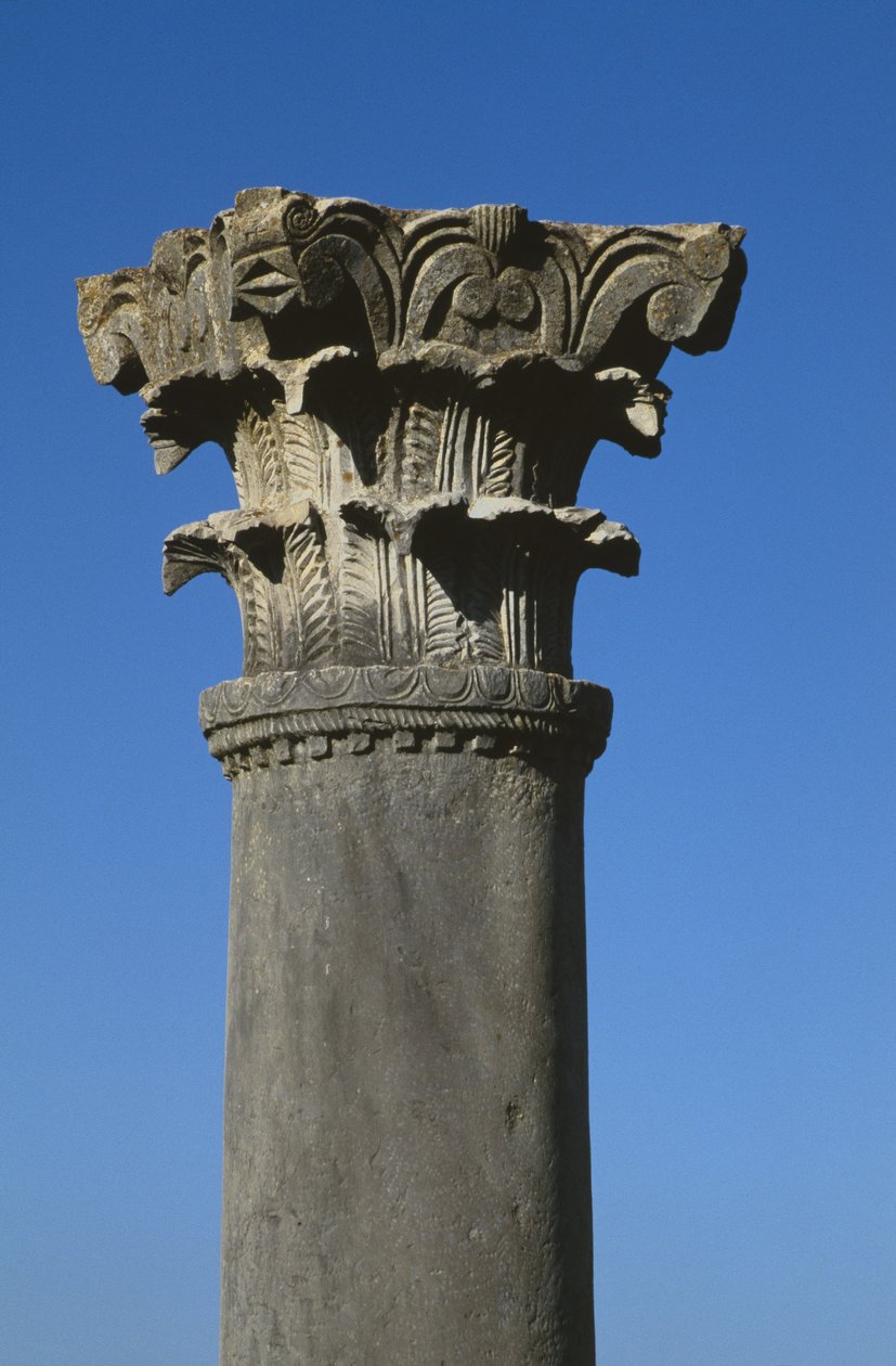 Capitello in stile corinzio da Roman